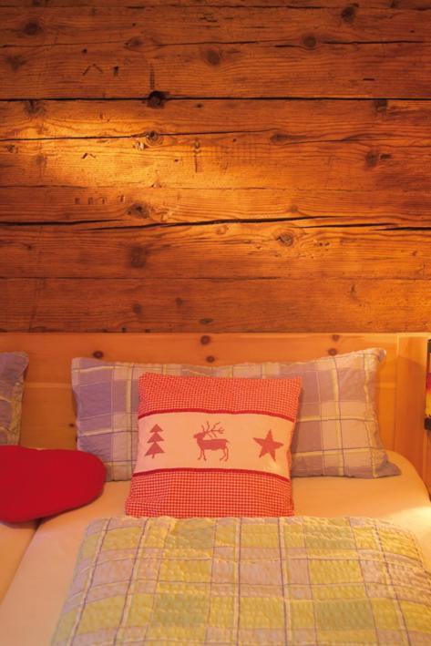 Naze'S Hus Mellau Hotel Екстериор снимка