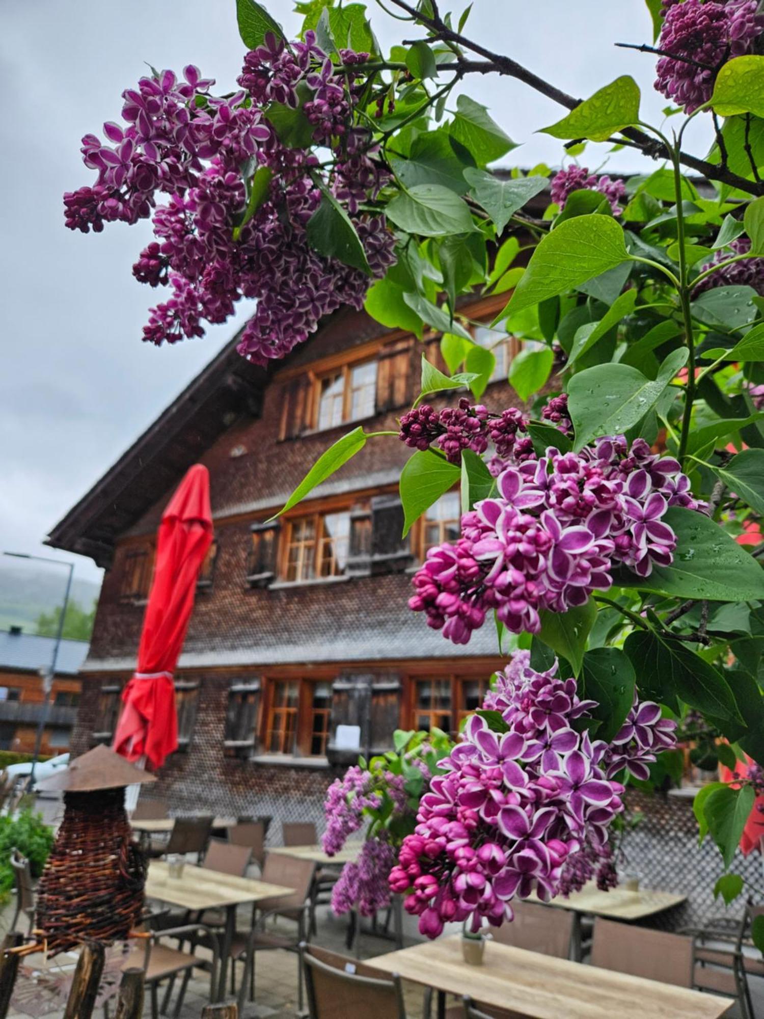 Naze'S Hus Mellau Hotel Екстериор снимка